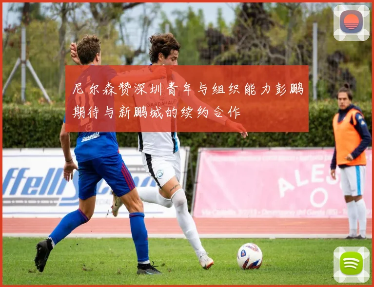 尼尔森赞深圳青年与组织能力彭鹏期待与新鹏城的续约合作