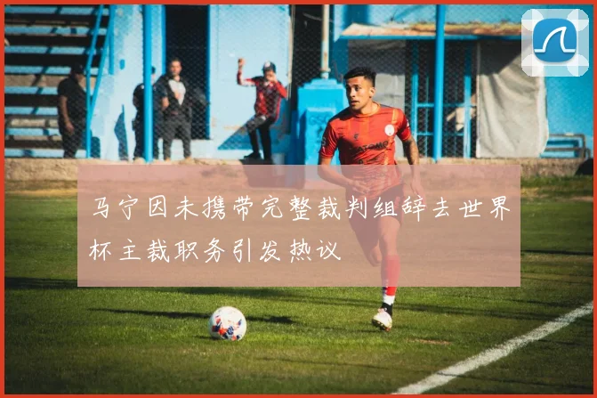 马宁因未携带完整裁判组辞去世界杯主裁职务引发热议